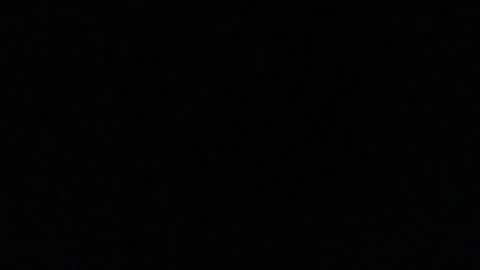 idksohorny online show from 01.02.25