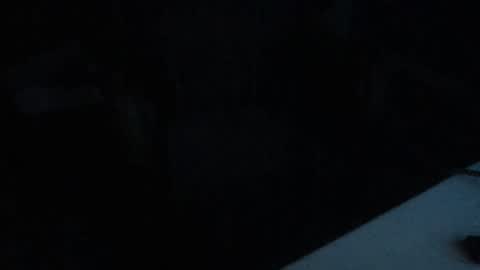 idksohorny online show from 01.24.25