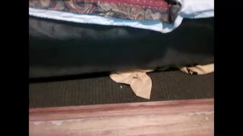 Snapshot of idkwhyidothis348732 chatting on 01.05.25 idkwhyidothis348732 online show from 01.05.25