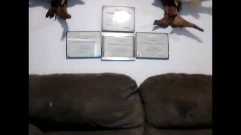 Snapshot of idkwhyidothis348732 chatting on 01.08.25 idkwhyidothis348732 online show from 01.08.25