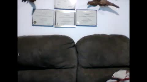 Snapshot of idkwhyidothis348732 chatting on 02.11.25 idkwhyidothis348732 online show from 02.11.25