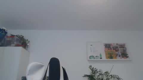 ner d online show from 02.21.25