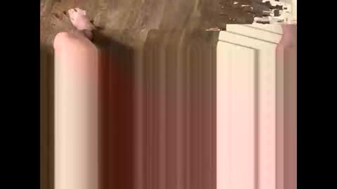 ikrxzy online show from 05.17.26