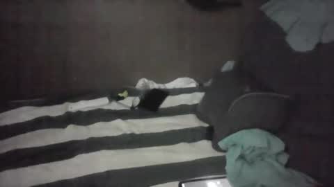 Snapshot of iloveitall86 chatting on 11.04.25 iloveitall86 online show from 11.04.25