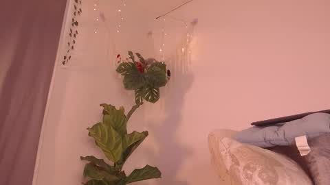 Kaia online show from 01.09.26