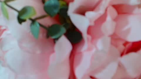 Carrie online show from 01.25.25