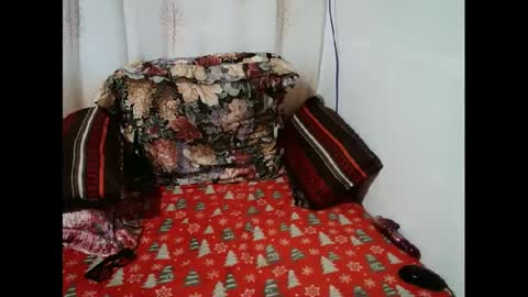 Candy cat online show from 01.11.25