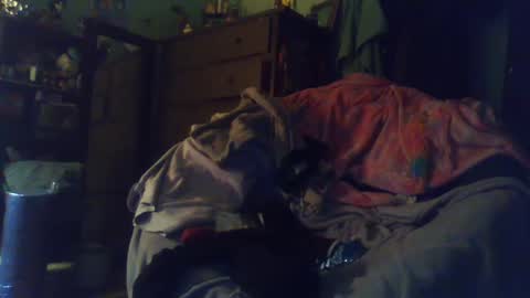 Snapshot of indigo_scorpio chatting on 02.24.25 indigo_scorpio online show from 02.24.25