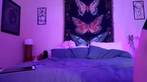 Indigo Bay online show from 03.16.26