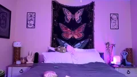 Indigo Bay online show from 04.11.26