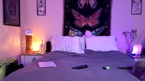 Indigo Bay online show from 04.26.26