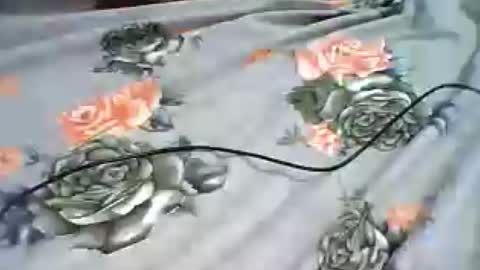 inejhtin online show from 06.24.26