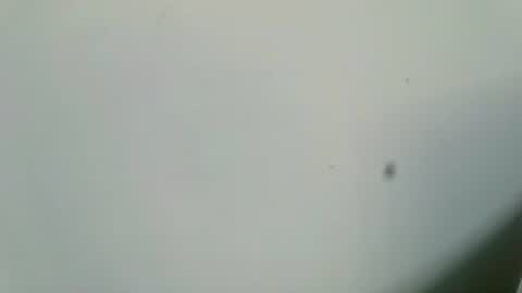 Inglorious Hairy Uncut online show from 02.16.25