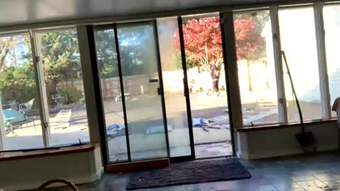 IntoTheWoodsWeGo online show from 11.13.25