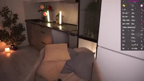 Irena Barr online show from 04.19.26