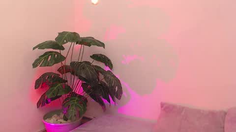 Iirs online show from 04.18.26