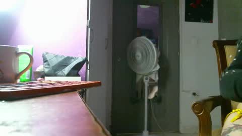 Camilla online show from 12.22.24