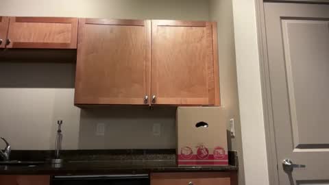 irissweets online show from 04.10.26