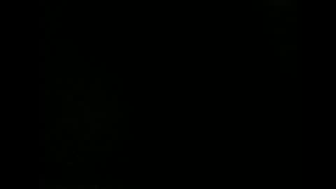 issazorro online show from 12.18.24