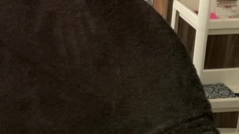 Raje online show from 10.22.25