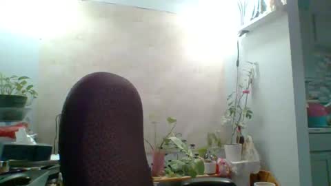 Snapshot of ivyjane3522 chatting on 05.07.26 ivyjane3522 online show from 05.07.26