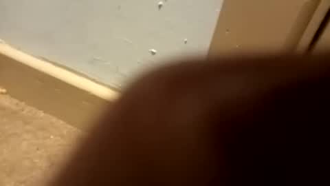 j434934 online show from 01.05.26