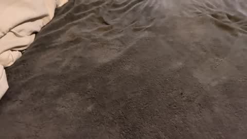 j_m12397 online show from 02.27.26