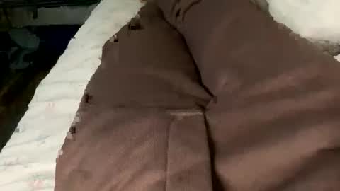 Jaaltar online show from 02.02.26