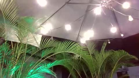 jacobdraven online show from 12.05.25