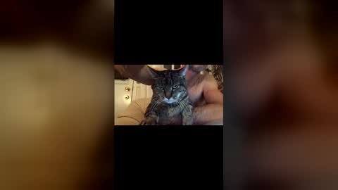 Snapshot of jacobmotes chatting on 12.17.25 Jacob online show from 12.17.25