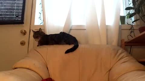 Jacob online show from 02.17.26