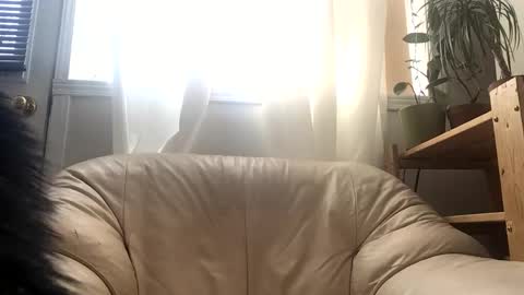 Jacob online show from 02.24.26