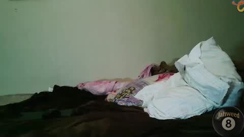 Jahweed online show from 02.08.26