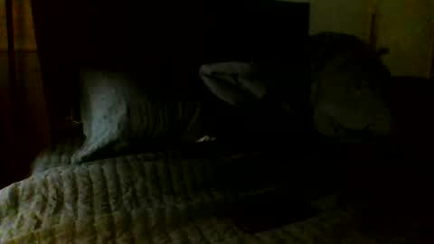 Jamacian online show from 11.07.25