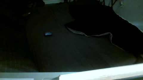 Jamacian online show from 12.14.25