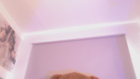 Jane online show from 04.17.26