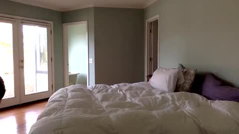 janicepepper online show from 01.04.25