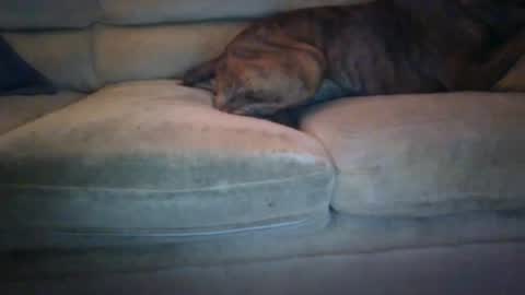 Snapshot of janks1963 chatting on 09.21.25 janks1963 online show from 09.21.25