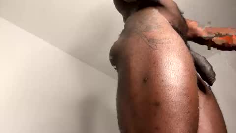 Janstallionx Independent official account online show from 02.12.26