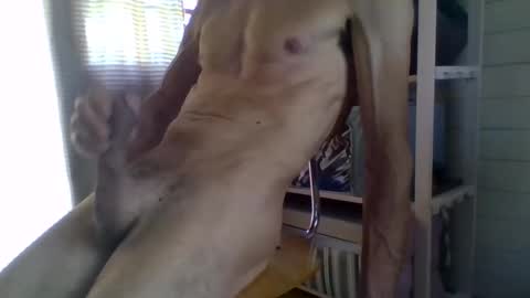 Snapshot of janzibor chatting on 05.26.26 janzibor online show from 05.26.26