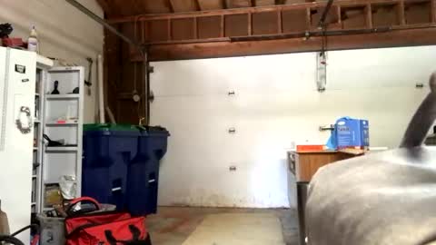 Jaws  online show from 09.12.25