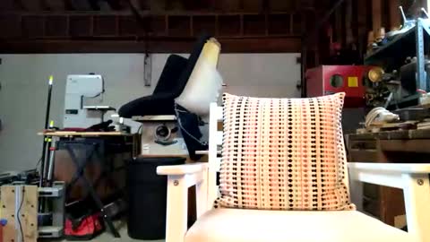 Jaws  online show from 10.14.25