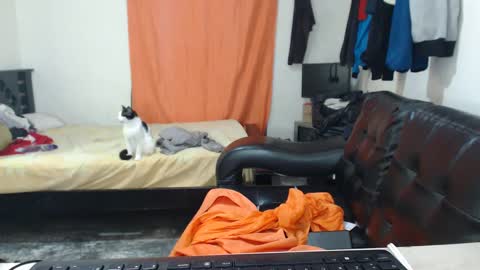 jaxivh16 online show from 10.11.25