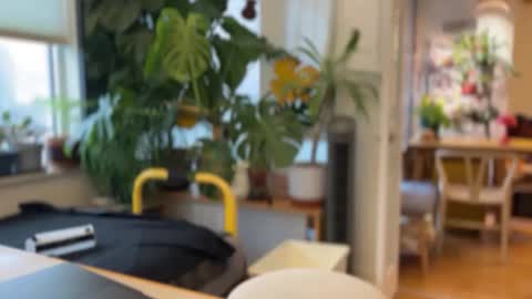 Snapshot of jaxz29 chatting on 02.20.26 jaxz29 online show from 02.20.26