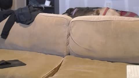 O F   jay short786 online show from 02.17.25