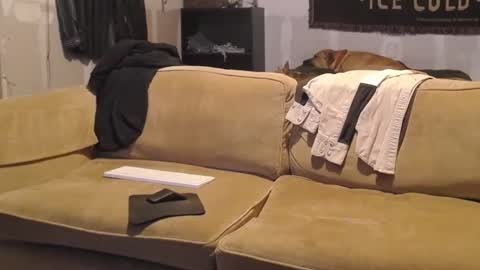 O F   jay short786 online show from 02.19.25