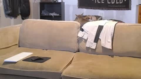 O F   jay short786 online show from 02.19.25