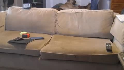 O F   jay short786 online show from 03.01.25