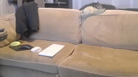 O F   jay short786 online show from 03.09.25