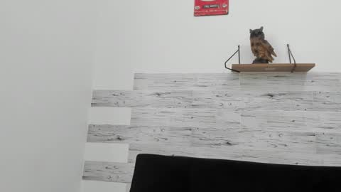 Jaycreedd online show from 11.02.25